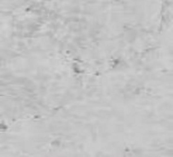 Garagentor LPU42 Duragrain